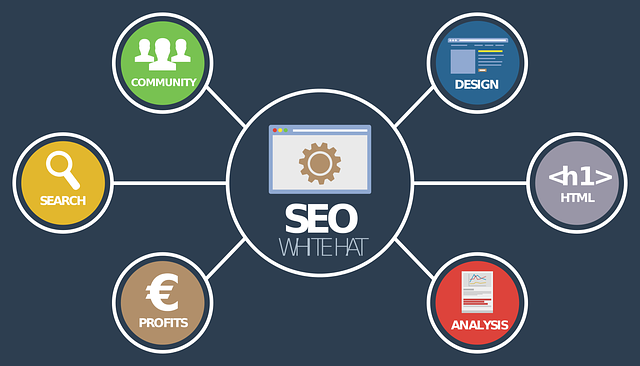 What is SEO in Digital Marketing with Examples